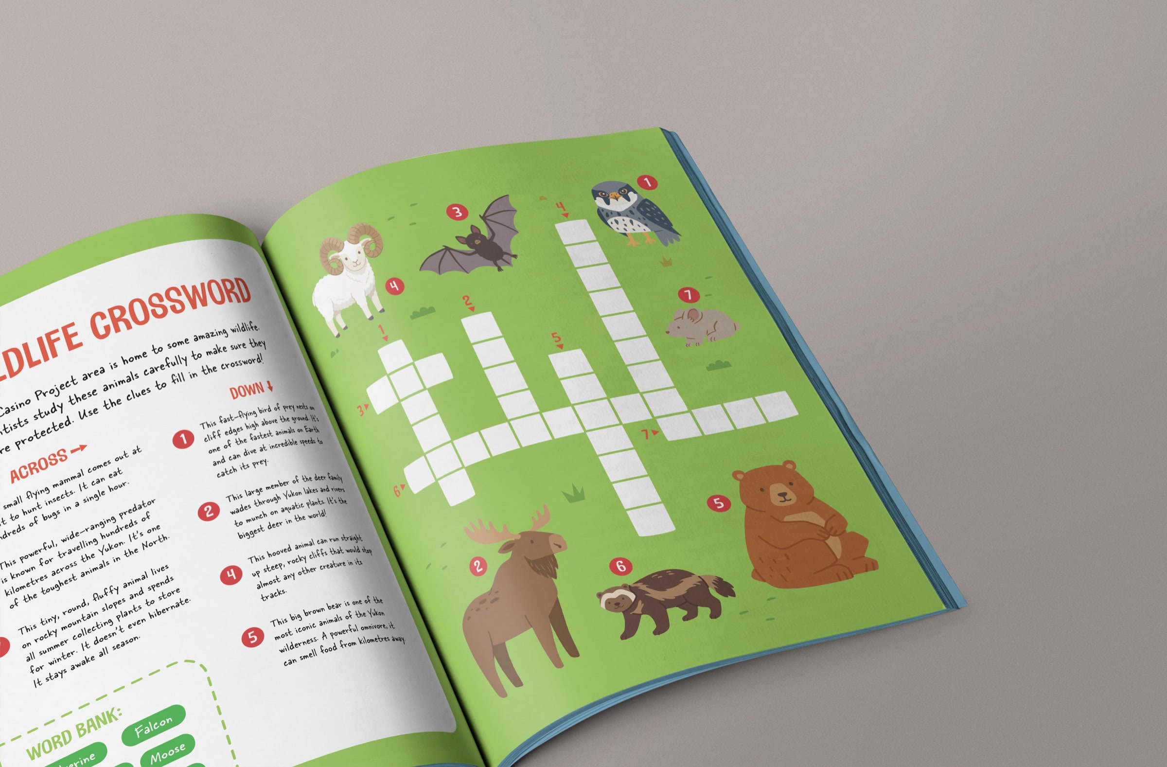 Activity book spread: a wildlife crossword with a bat, bear, moose, sheep and other Yukon animals.