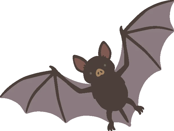 Bat