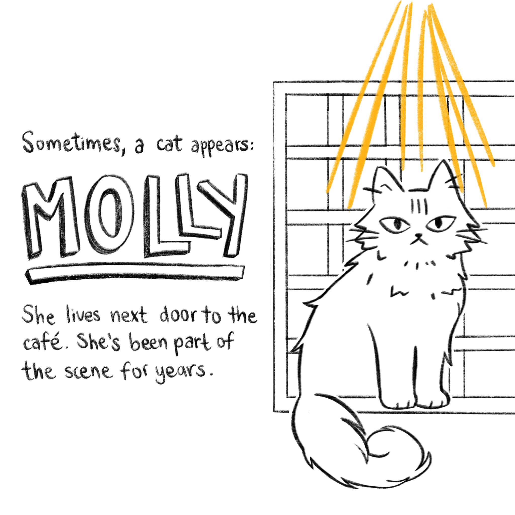 Molly sitting in a window under rays of light. “Sometimes, a cat appears: Molly. She lives next door to the café. She’s been part of the scene for years.”