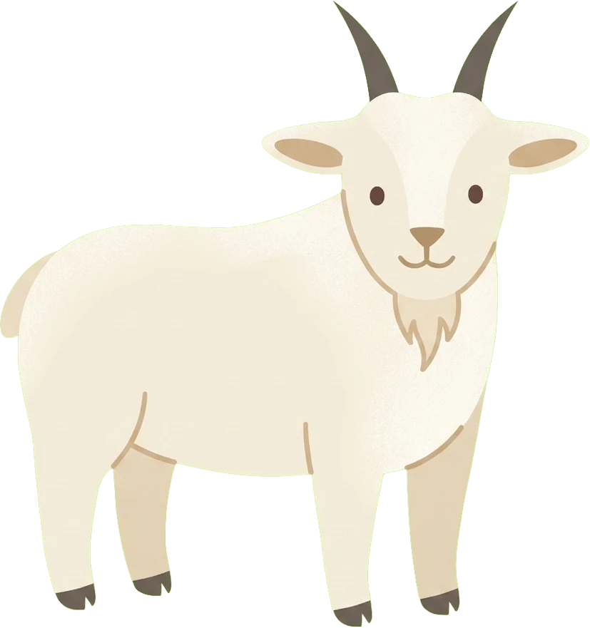 Mountain goat