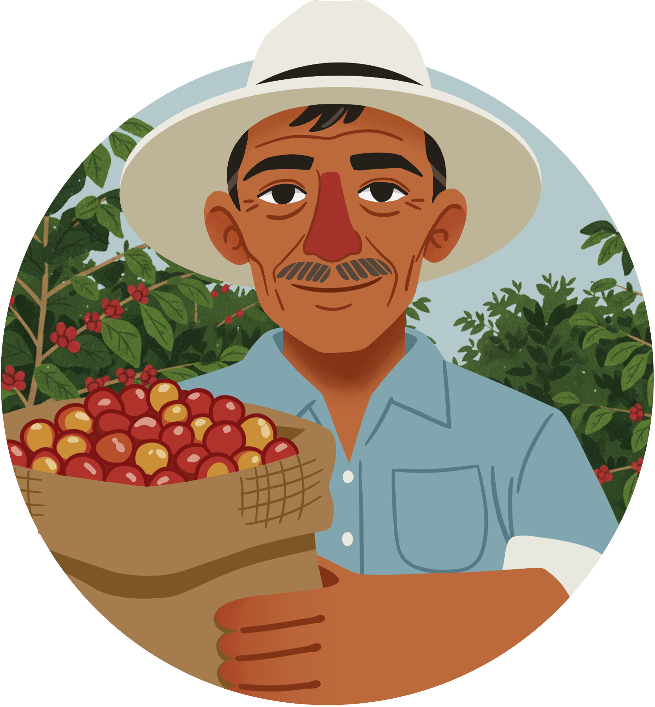 Illustrated portrait of Vicente in a straw hat, smiling among coffee plants, holding a sack of red coffee cherries.