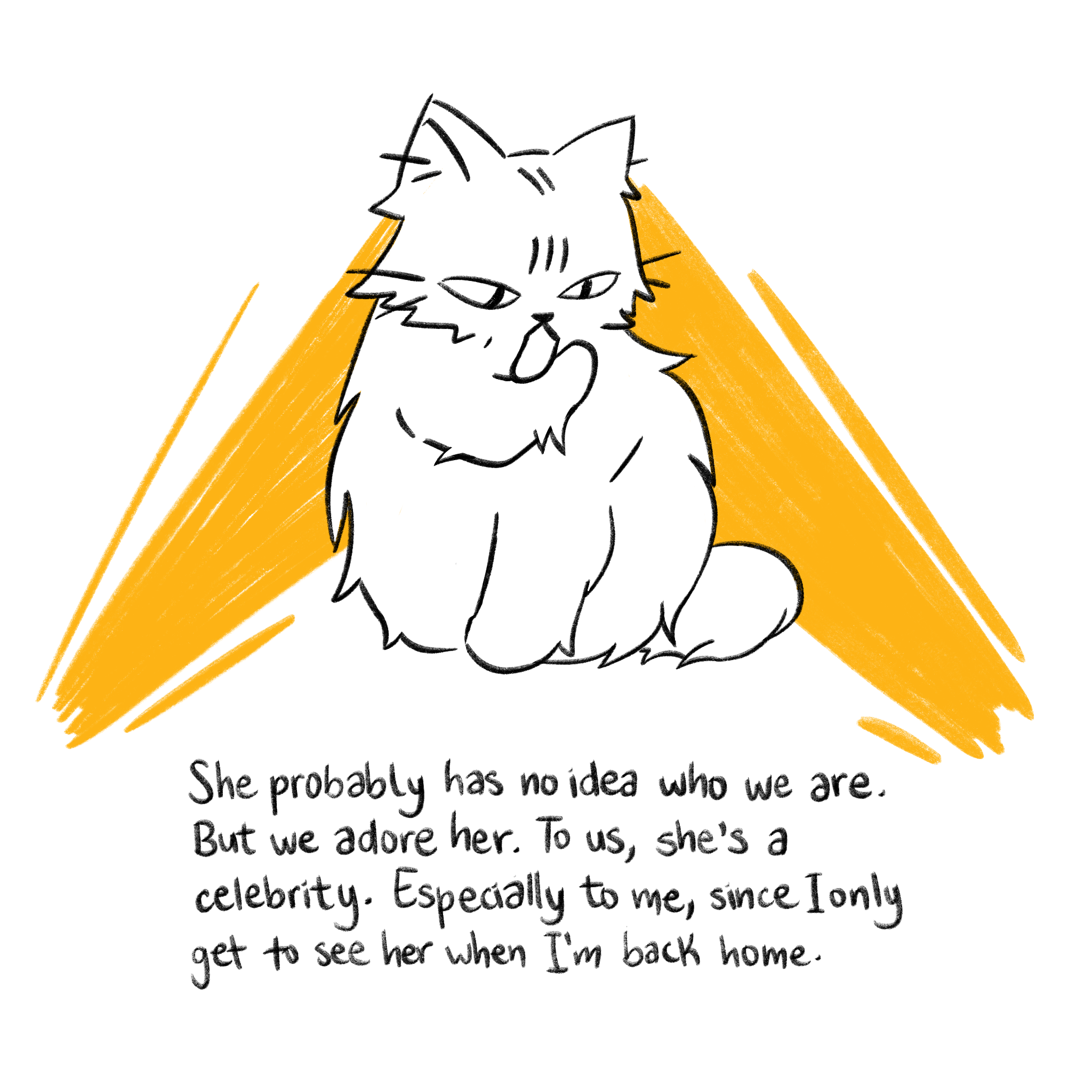 Panel 6: She probably has no idea who we are, but we adore her.